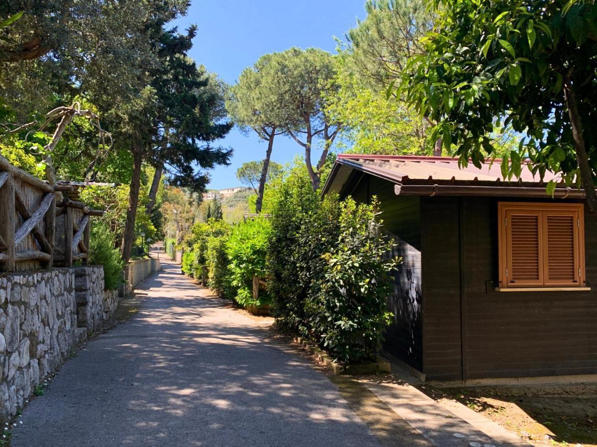 Village Camping Santa Fortunata - Campogaio Sorrento Luaran gambar