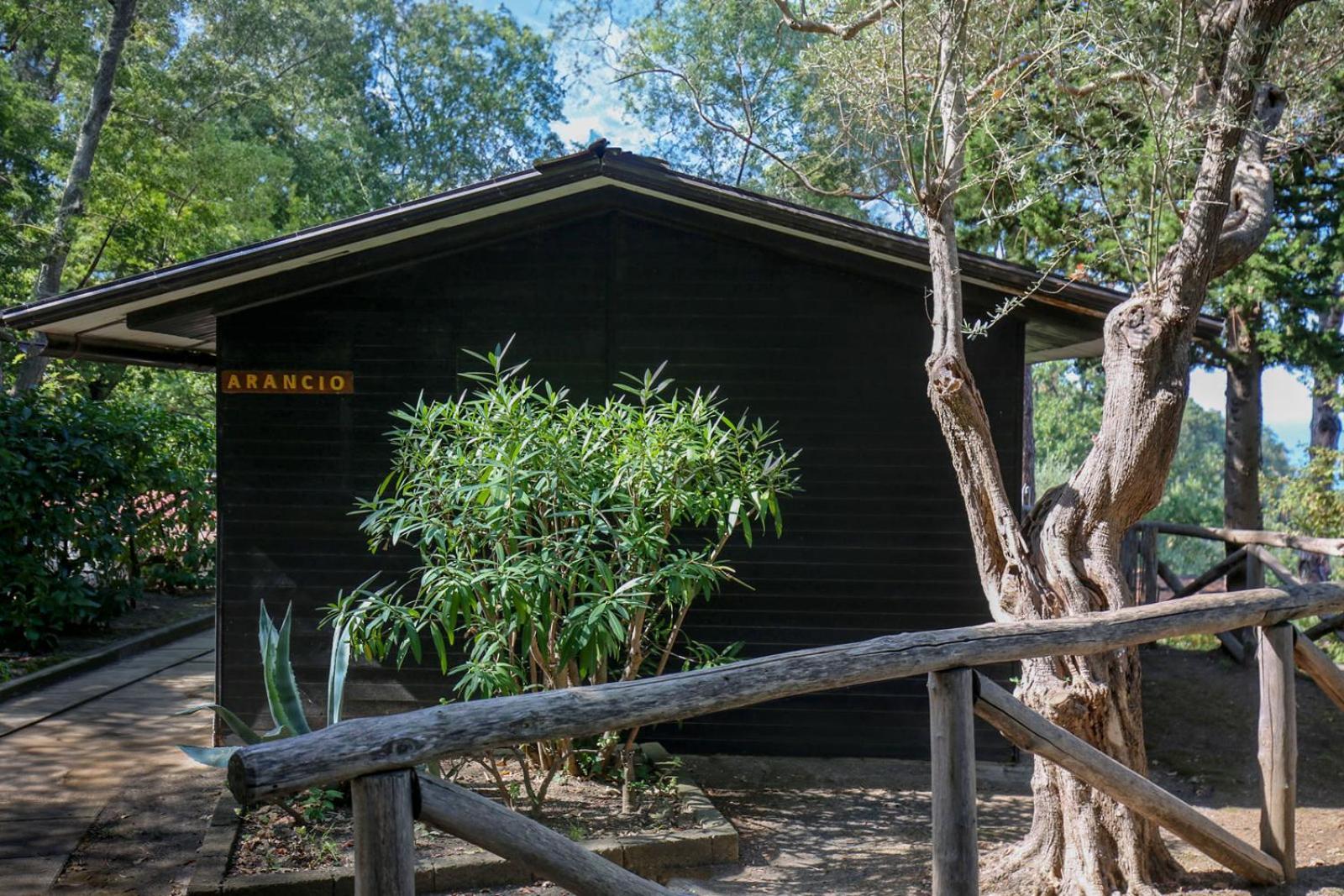 Village Camping Santa Fortunata - Campogaio Sorrento Luaran gambar
