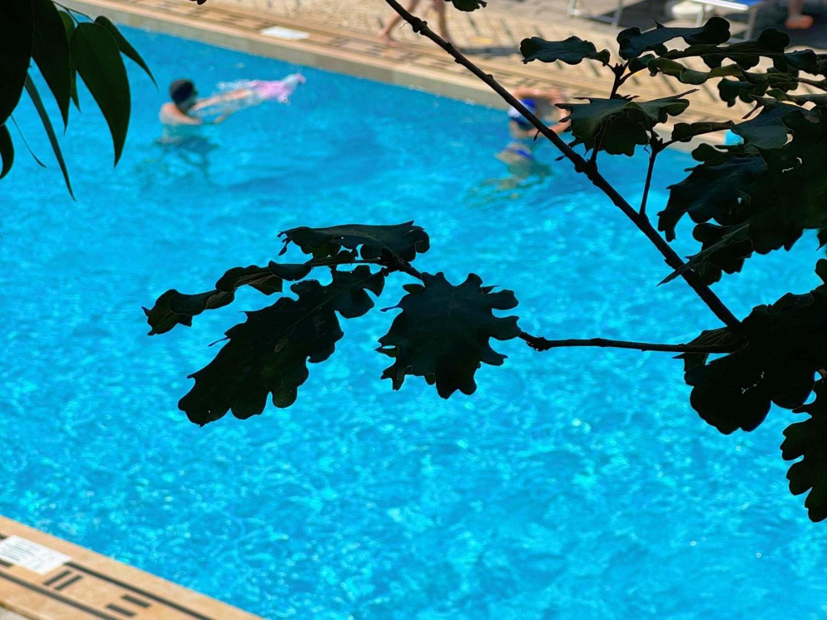 Village Camping Santa Fortunata - Campogaio Sorrento Luaran gambar